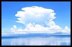 Scene off of South Water Caye, Belize - Click to Return to the SFVH Home Page